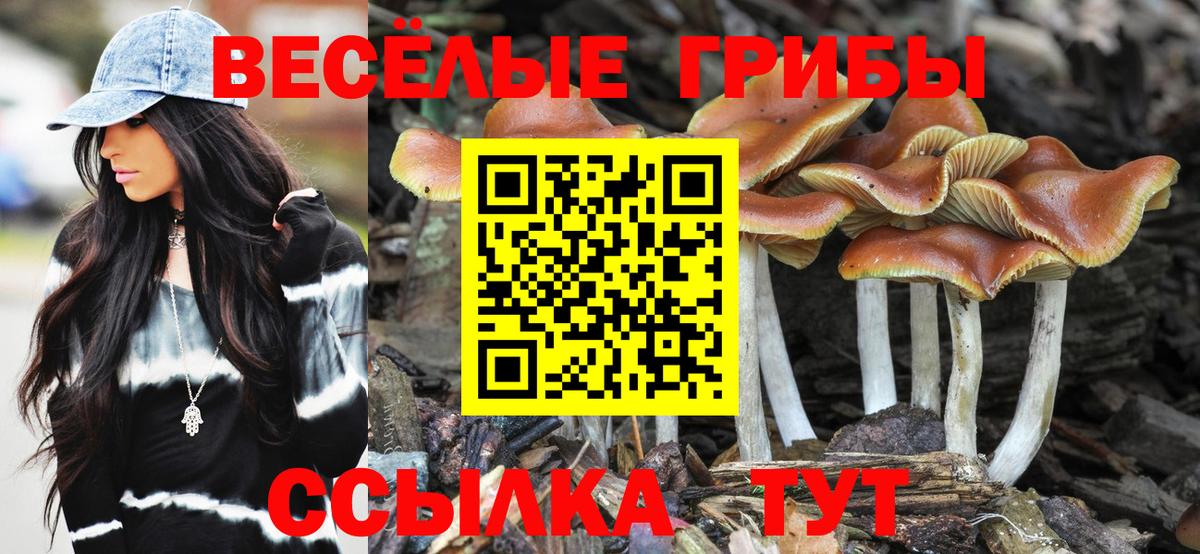 Псилоцибиновые грибы Magic Shrooms Новоалександровск