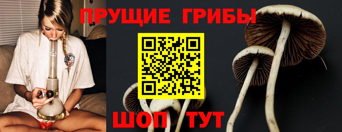 Галлюциногенные грибы MAGIC MUSHROOMS  Вход с VPN  Новоалександровск  Псилоцибиновые грибы Magic Shrooms 